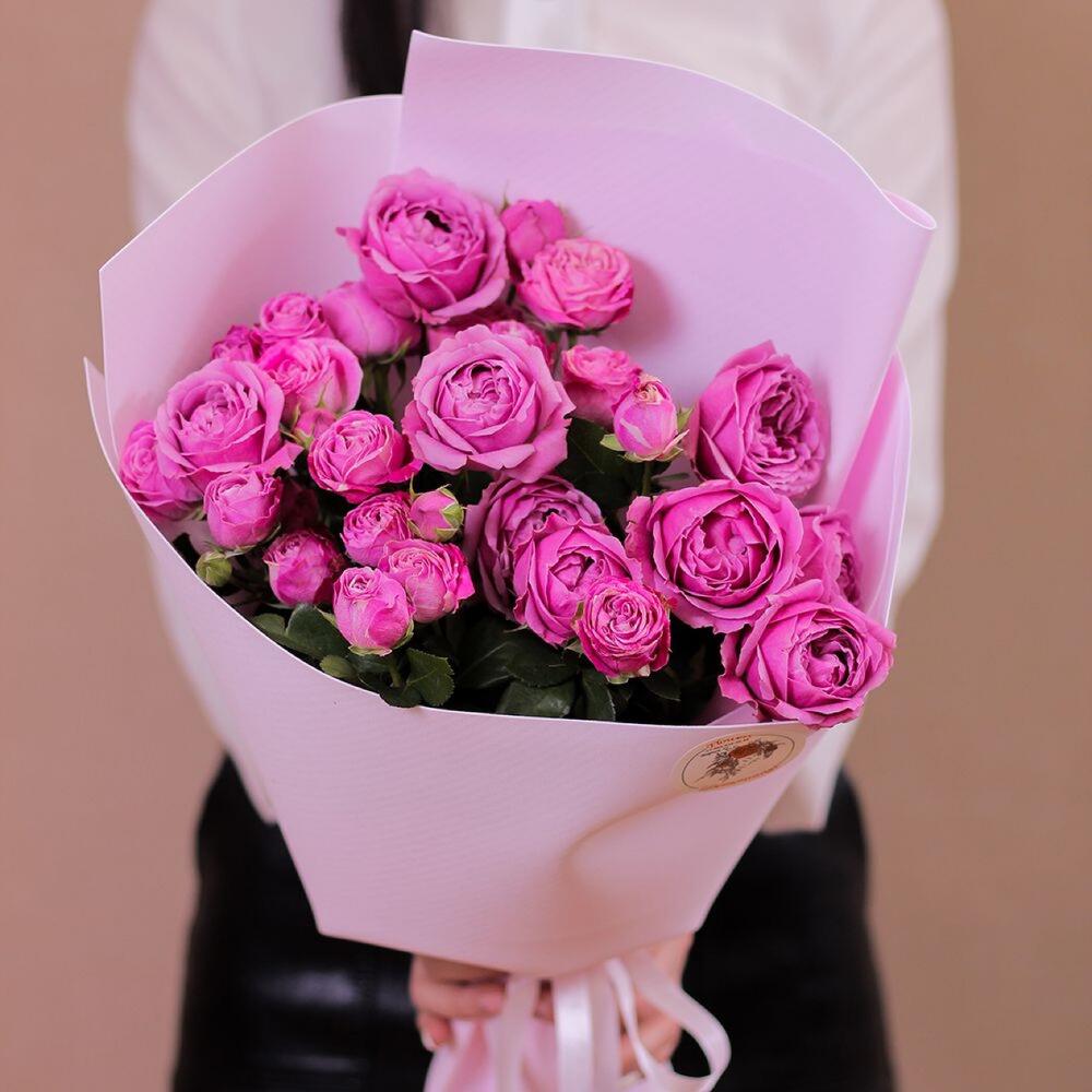 Мисти Баблс 01