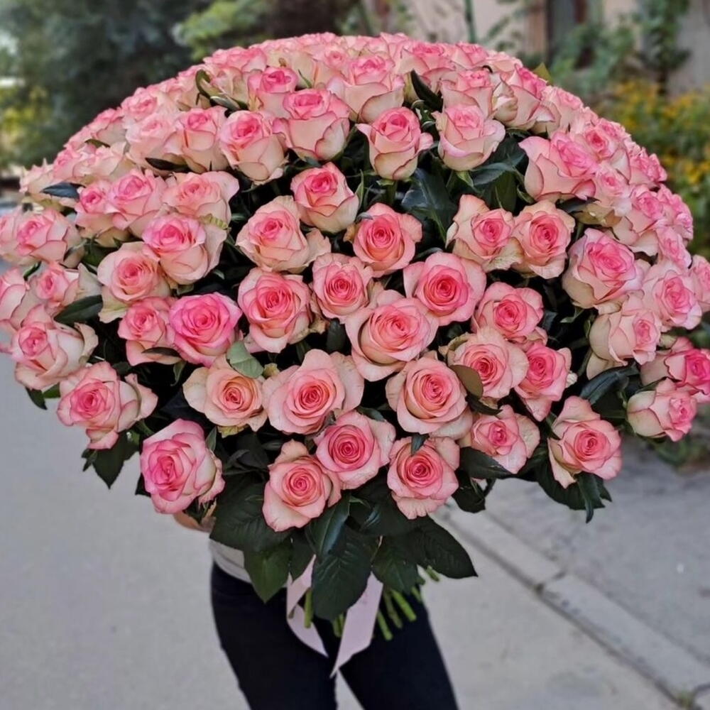 101 бело розовая роза Киев